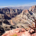 Viaje al Gran Cañon