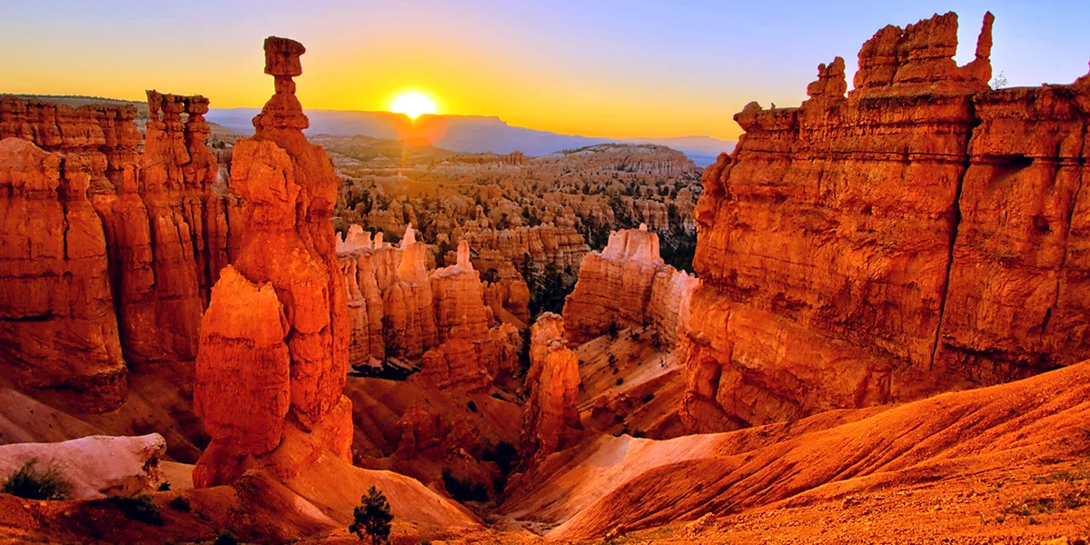 Protección de Especies en el Gran Cañón